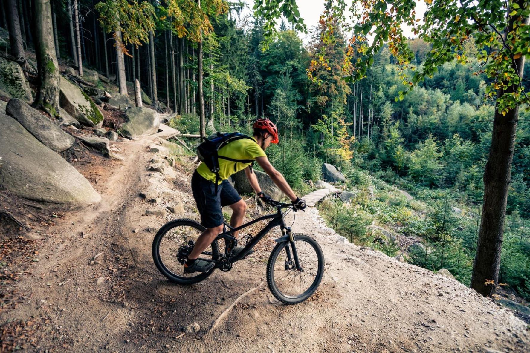 Elements Hotel&Spa Świeradów-Zdrój エクステリア 写真 A mountain biker riding a trail